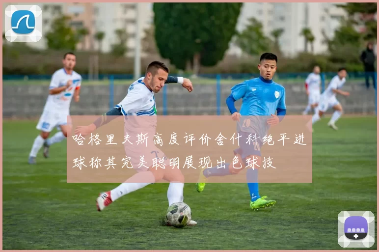 哈格里夫斯高度评价舍什科绝平进球称其完美聪明展现出色球技