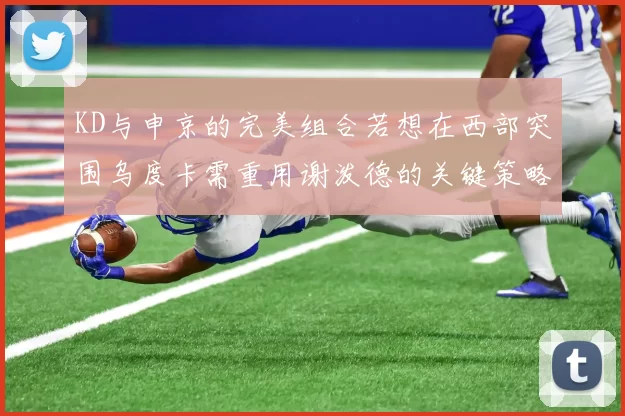 KD与申京的完美组合若想在西部突围乌度卡需重用谢泼德的关键策略
